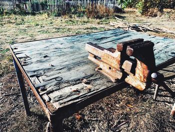 High angle view of bench in forest