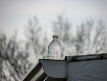 Water bottle against bare trees