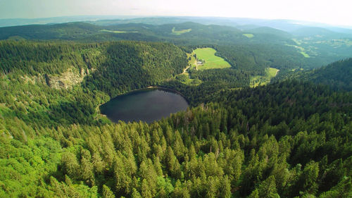 Scenic view of green landscape against sky