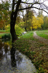 Stream in park