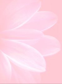pink color