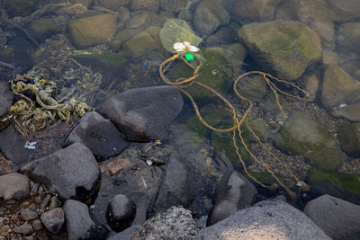 High angle view of stones on shore