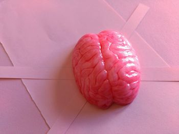 High angle view of pink petals