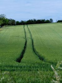 Scenic view of farm against sky