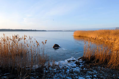 Scenic view of lake against sky during winter