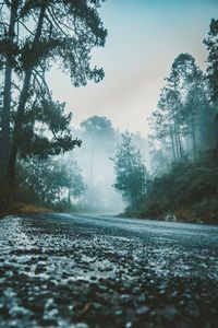 Surface level of wet road against sky