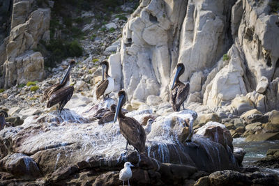 Traveling in baja california peninsula in mexico