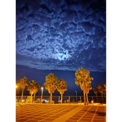 Digital composite image of trees and plants against sky at night