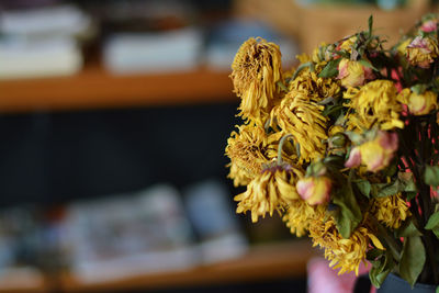 Close-up of yellow flowering plant