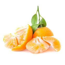 Close-up of orange fruit against white background