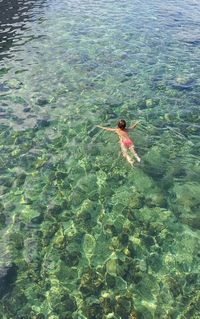 High angle view of woman swimming in sea