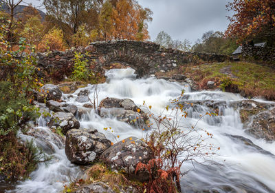 View of waterfall in forest