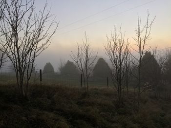 Bare trees on landscape at sunset