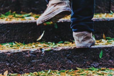 Low section view of man walking on moss