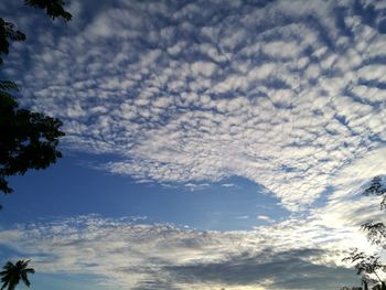 Low angle view of sky