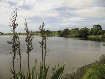 Scenic view of lake against sky