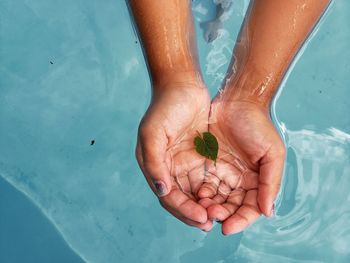 Cropped hands leaf in swimming pool
