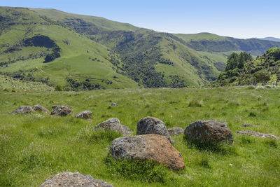 Idyllic landscape around akaroa