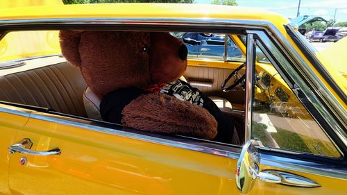 Side view of horse in car
