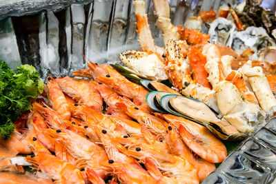 Close up of many fresh seafood buffet dinner put on ice