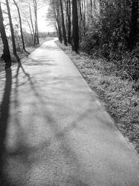 Empty road along trees in the forest