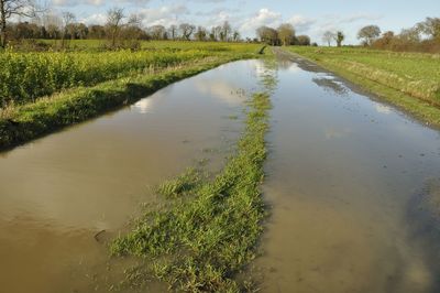 Scenic view of canal amidst land against sky