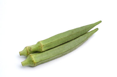 Close-up of green leaf on white background