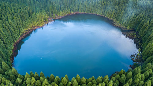 High angle view of lake amidst trees