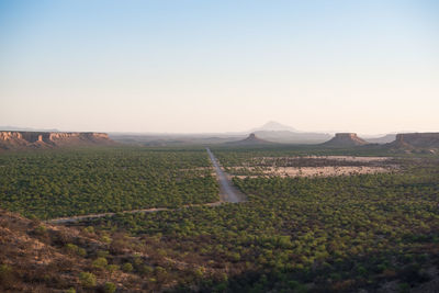 Scenic view of agricultural field against clear sky