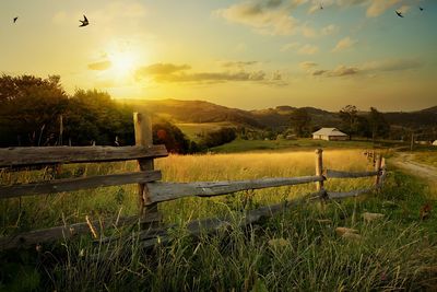 Scenic view of field against sky during sunset