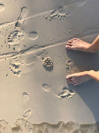 Low section of woman standing on sand at beach