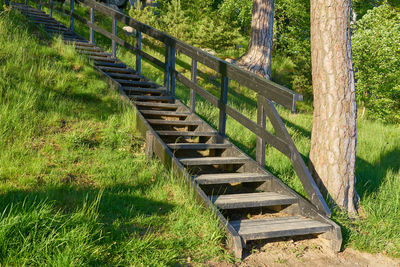Staircase amidst plants on field