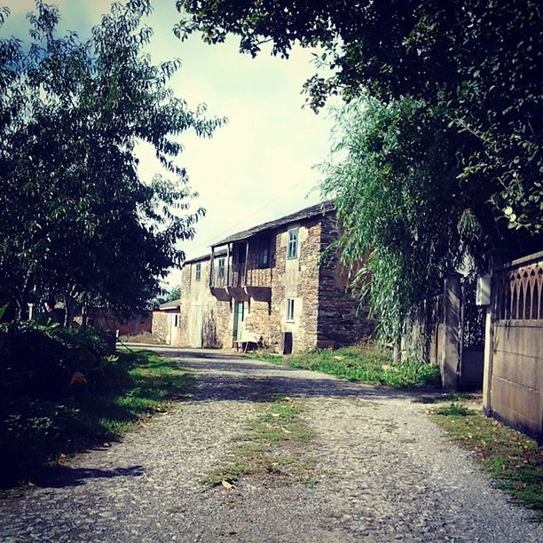 architecture, building exterior, built structure, the way forward, house, tree, street, residential structure, sky, residential building, diminishing perspective, road, narrow, building, day, empty, walkway, outdoors, no people, long