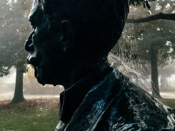 Close-up of statue against trees