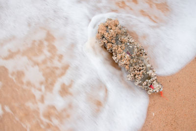 High angle view of rock on beach