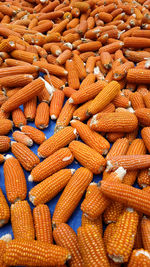 Full frame shot of onions