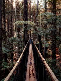 View of footbridge in forest