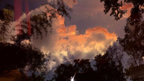 Low angle view of silhouette trees against sky