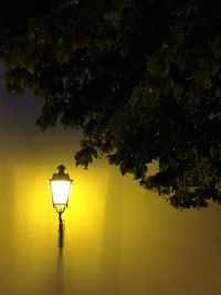 Low angle view of illuminated street light against tree