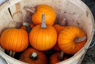 Close-up of pumpkins in market during autumn