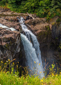 Scenic view of waterfall in forest