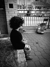 Rear view of girl sitting on bird