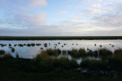 Scenic view of lake against sky