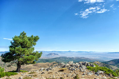 Scenic view of landscape against blue sky