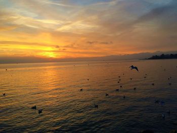 Scenic view of sea against sky during sunset