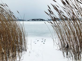 Scenic view of frozen lake against clear sky