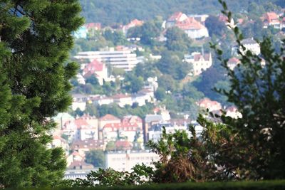 High angle view of residential district