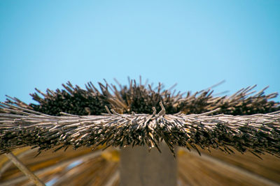 Low angle view of parasol against clear blue sky