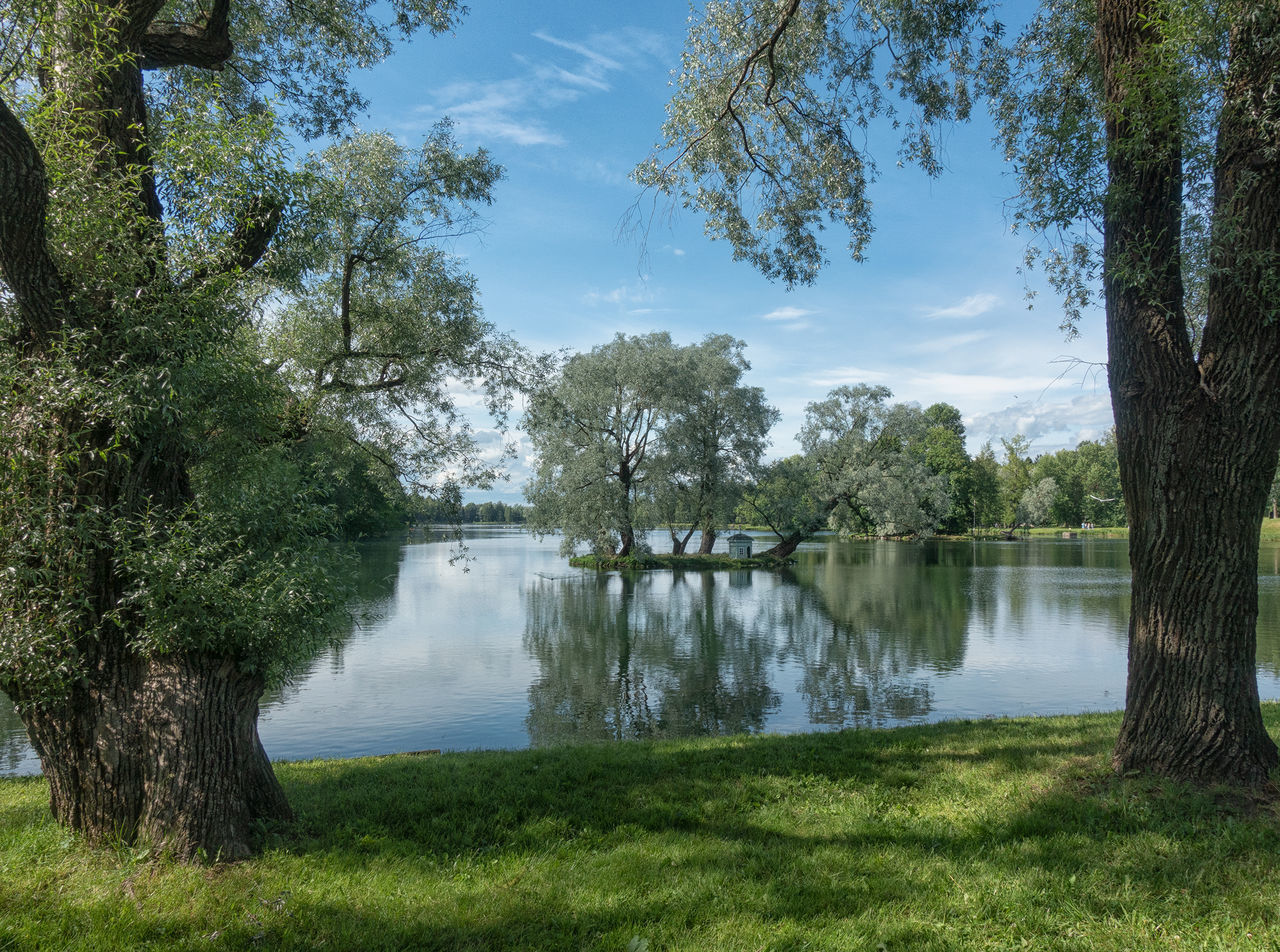 SCENIC VIEW OF LAKE AND TREES AGAINST SKY