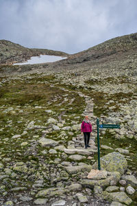 Female wander at hallingskarvet and prestholtseter, geilo, norway